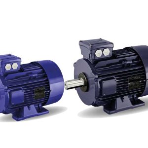 ACI Electric Motor 3 HP